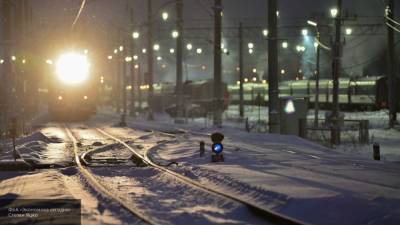 Три ребенка погибли под поездом в Вологодской области