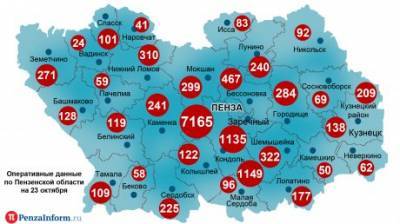 Коронавирус зафиксировали в Пензе, Заречном и 12 районах