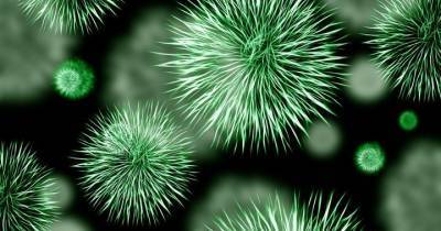 Названы вирусы и бактерии, которые вызывают рак
