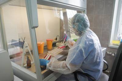 269 случаев коронавируса выявили за сутки в Воронежской области