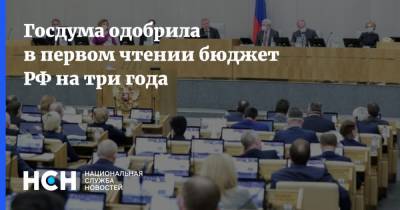 Госдума одобрила в первом чтении бюджет РФ на три года