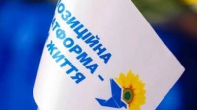 В Житомирской области кандидат от ОПЗЖ учинил потасовку. Вызвали полицию и скорую