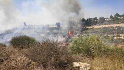 Израиль в огне: три сильных пожара за один день - в Иерусалиме, Хайфе и Иудее