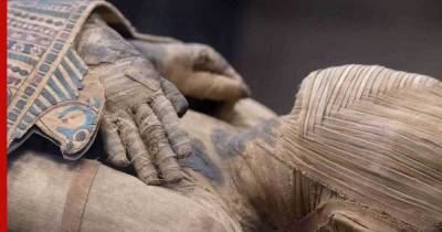 Египетская мумия возрастом 4500 лет «грозит» полностью переписать историю