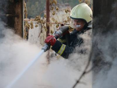 Кабмин выделил 3,3 млн грн помощи пострадавшим от пожаров в Харьковской области