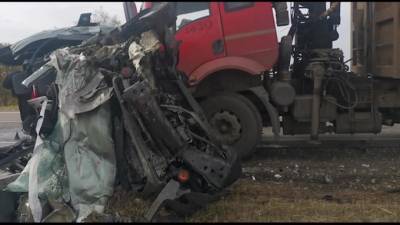 Видео: В Брянской области в ДТП с грузовиком из-за уснувшего водителя погибли 3 человека