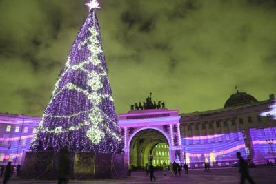 На Дворцовой площади к 20 декабря установят живую ель