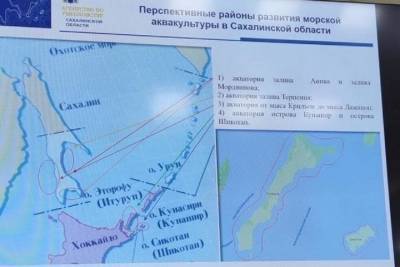 Российский чиновник использовал карты с «японскими Курилами»