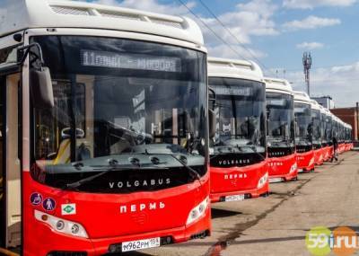 На развитие транспортной отрасли в Прикамье направят 14,7 млрд рублей