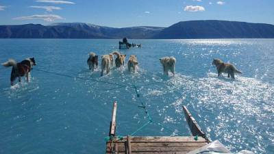 Ученые заявили о четырехкратном ускорении темпов таяния ледников Гренландии