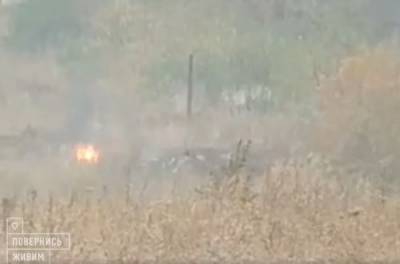 Военные с передовой сняли ВИДЕО, как сепаратисты поджигают траву на Луганщине