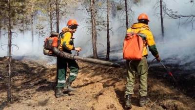 В Магадане ликвидированы все лесные пожары