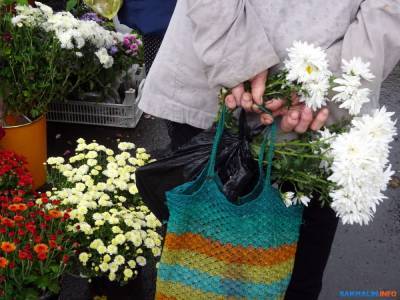 Дождик, тыквы и щенки: в Южно-Сахалинске проходит большая ярмарка "Золотая осень"