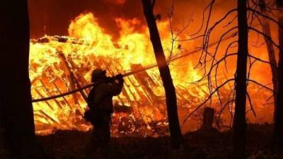 4 день борьбы с огнем: На Луганщине продолжается тушение 7 основных очагов (оперативная информация)