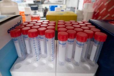 Германия: Вакцина из Марбурга прошла очередное клиническое испытание