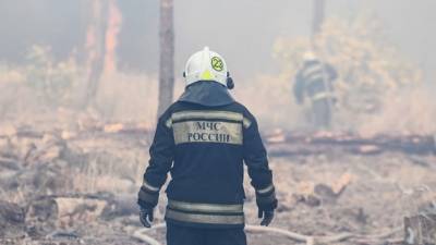 В МЧС рассказали о ситуации с пожарами в Воронежской и Ростовской областях