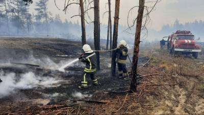 В Луганской области спасатели продолжают тушить семь пожаров