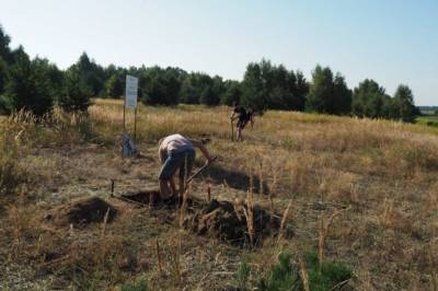 Под Калининградом нашли следы поселения бронзового века
