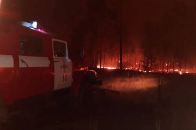 Площадь пожаров в Луганской области превысила 20 тыс. гектаров, - ГСЧС