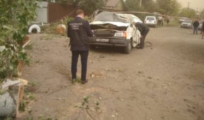 В Ростовской области упавшее на машину дерево убило двух человек