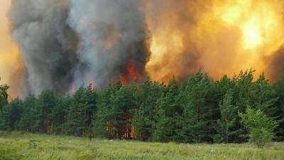 МЧС сообщило о трех пожарах в Воронежской и Ростовской областях