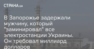 В Запорожье задержали мужчину, который "заминировал" все электростанции Украины. Он требовал миллиард долларов