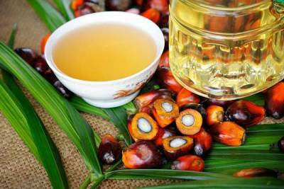 Раскрыты полезные свойства пальмового масла