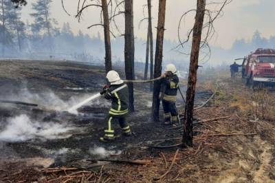 Спасатели продолжают борьбу с масштабными пожарами в Луганской области: фото и видео с места событий