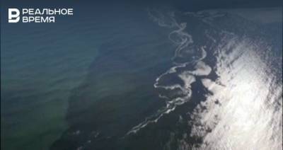 «Месяц из реки изливается яд»: Юрий Дудь опубликовал видео загрязнения океана на Камчатке