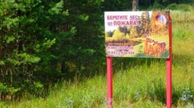 В Пензенской области вновь ограничены вход и въезд в леса