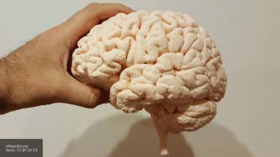 Ученые назвали главный признак опасного заболевания мозга