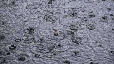 В воскресенье в Петербург нагрянет осень с обильными дождями