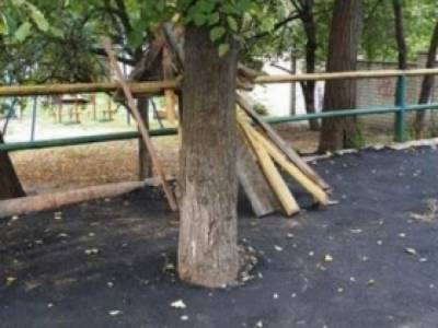 На Нивках в Киев дорожники во время укладки асфальта жестоко обошлись с деревом