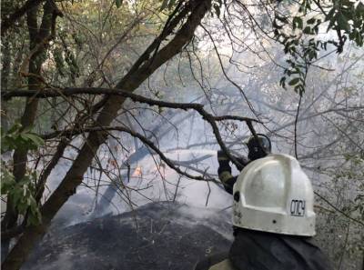 Выгорело 347 га: в Цимлянском районе потушили природный пожар