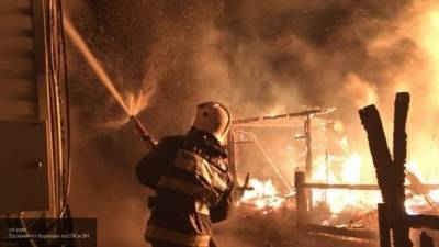 Дедушка с двумя внуками погибли при пожаре в крымском селе Геройское