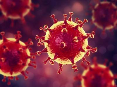 Ученые обнаружили натуральное средство от коронавируса