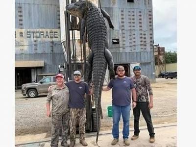 Американские охотники после двухчасовой схватки одолели аллигатора-гиганта