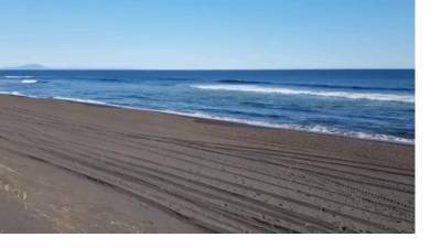Власти Камчатки показали "совершенно чистый" Халактырский пляж