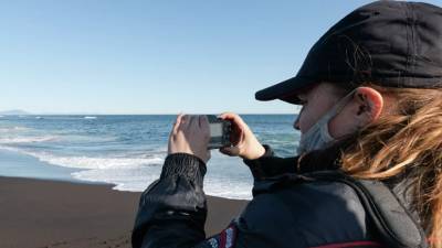СК начал проверку в связи с гибелью морских животных на Камчатке