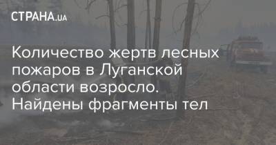 Количество жертв лесных пожаров в Луганской области возросло. Найдены фрагменты тел