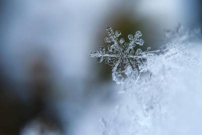 Какой будет зима в этом году: синоптики сделали прогноз