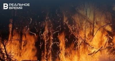 Гидрометцентр Татарстана объявил штормовое предупреждение из-за высокой пожароопасности лесов