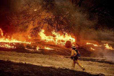 Пожары в Калифорнии: огонь выжег более полутора миллионов гектаров территории