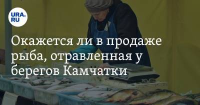 Выяснилось, будут ли продавать рыбу, погибшую у берегов Камчатки