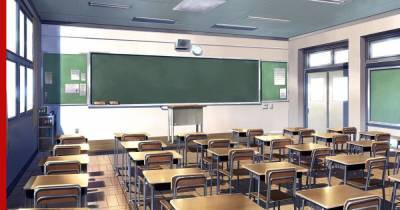 Минпросвещения раскрыло планы о переводе всех школ на «удаленку»