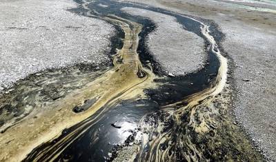 Загрязнение вод на Камчатке спровоцировала течь нефтепродуктов
