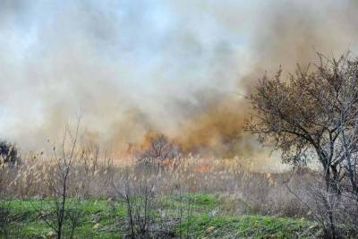 В Волгоградской области сохранится чрезвычайная пожароопасность