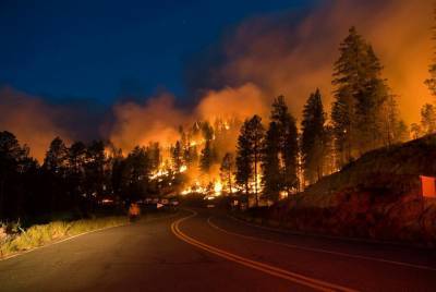 Украина догоняет США по масштабам лесных пожаров