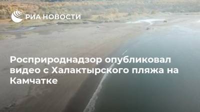 Росприроднадзор опубликовал видео с Халактырского пляжа на Камчатке