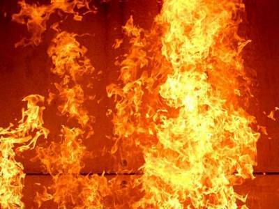 Бойцам ГСЧС во время пожара удалось спасти жителя села в Запорожской области